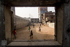 Window of fun.......