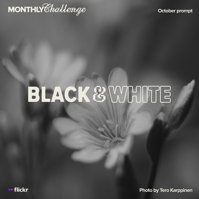 October's Photo Challenge Theme: Black and White Photography