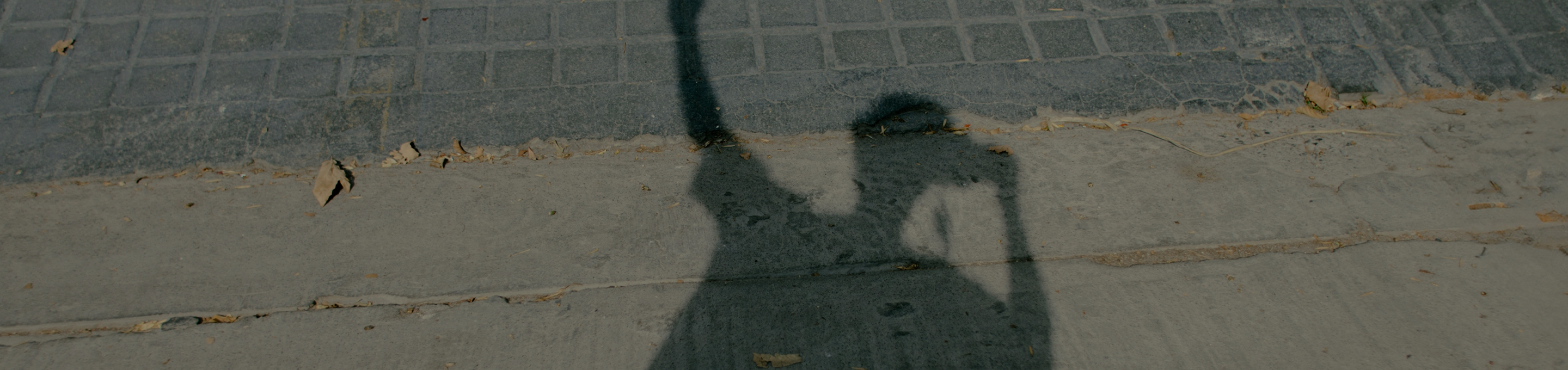 Photo by Vincent Van Zalinge